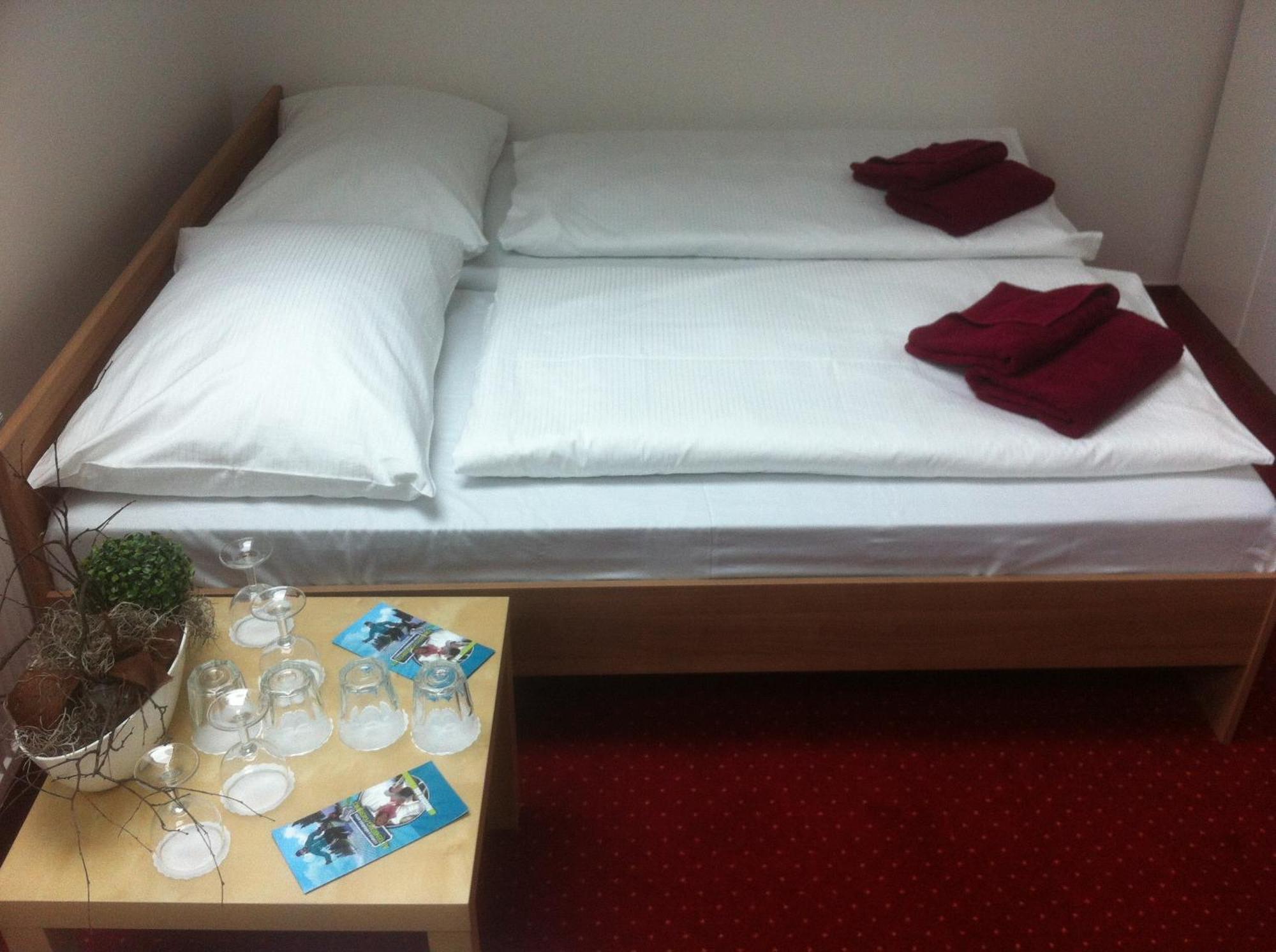 Hotel Krusnohorsky Dvur Cinovec Екстер'єр фото