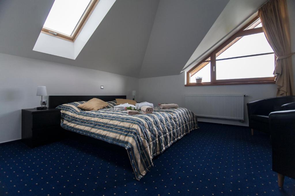 Hotel Krusnohorsky Dvur Cinovec Номер фото