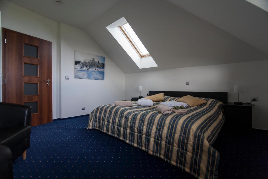 Hotel Krusnohorsky Dvur Cinovec Номер фото