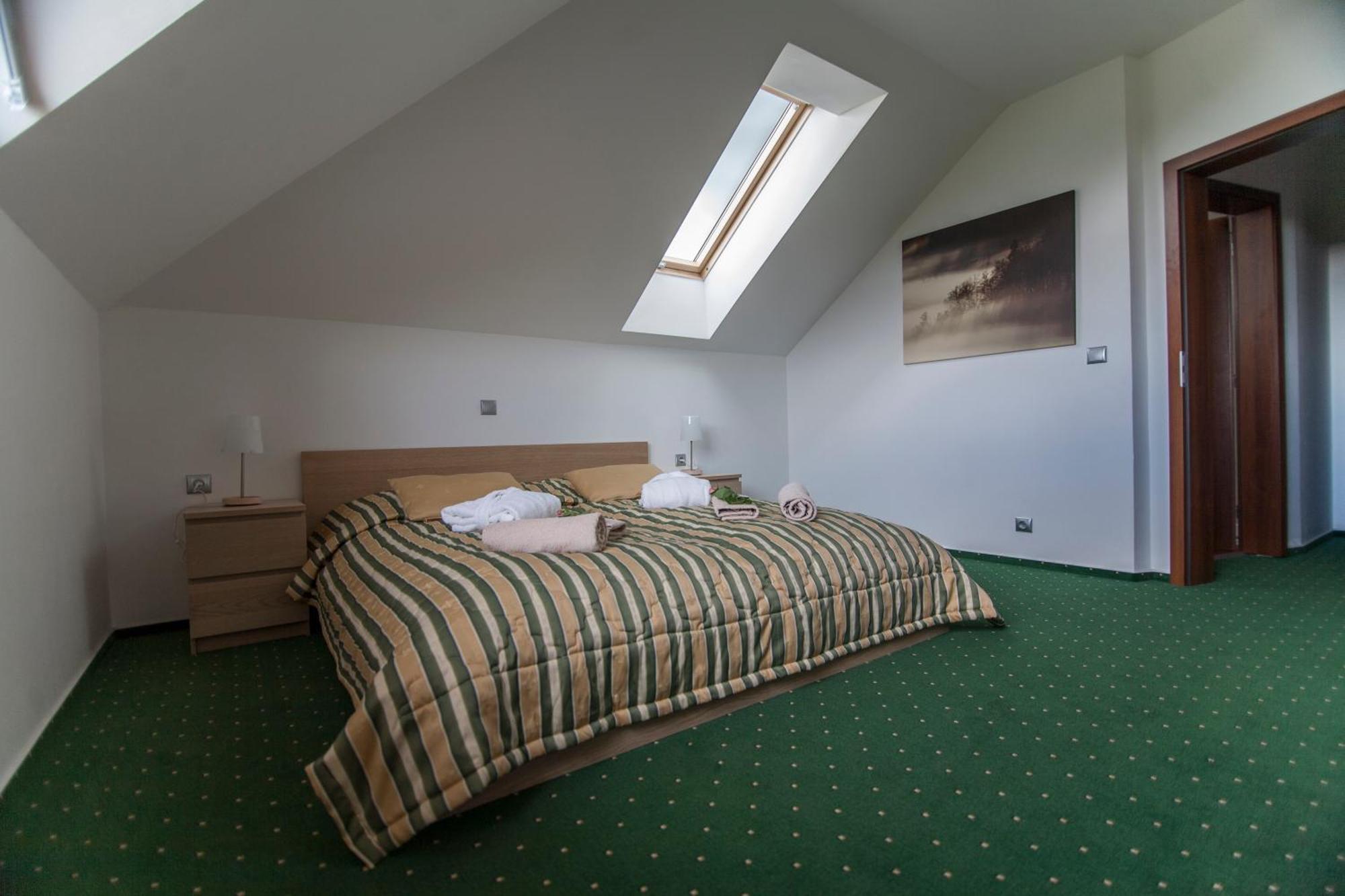 Hotel Krusnohorsky Dvur Cinovec Екстер'єр фото