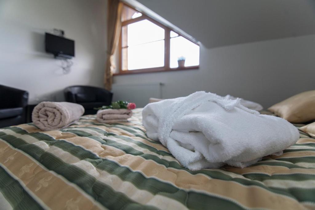 Hotel Krusnohorsky Dvur Cinovec Номер фото